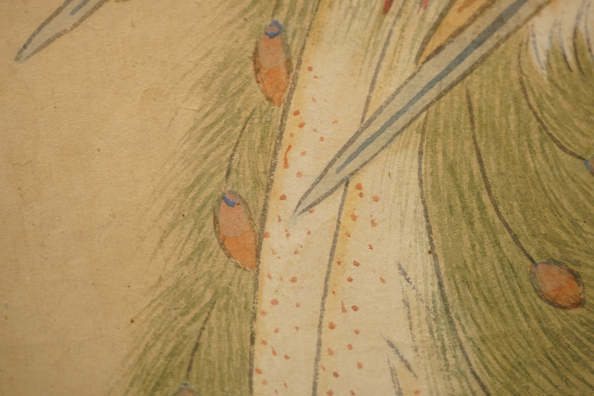 Chinese School , (18th/19th century), Phoenixes amid flowers, Ink and colour on paper; a pair